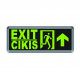 ACİL YÖNLD. ARMT. EXIT ÇIKIŞ YUKARI OK LED FL-9004