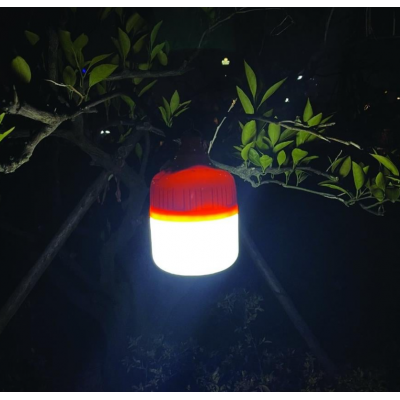 SOLAR KAMP LAMBASI 100 W KUMANDALI 6500 K